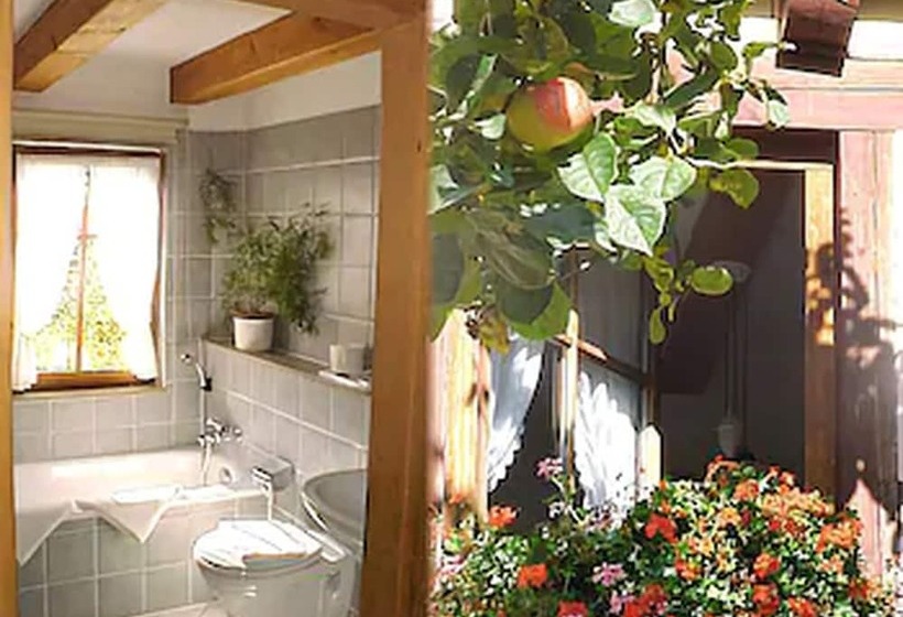 コンフォートルーム, Gerberhaus