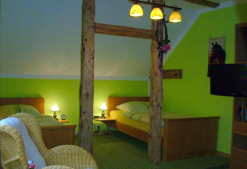 غرفة ديلوكس, Landhotel Sonnenhof Im Wendland