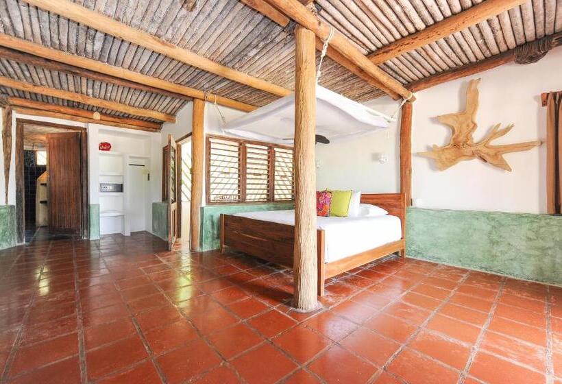 Номер Стандарт, Zamas