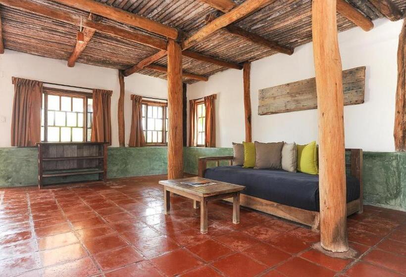 Номер Стандарт, Zamas