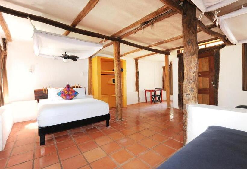 Номер Стандарт, Zamas