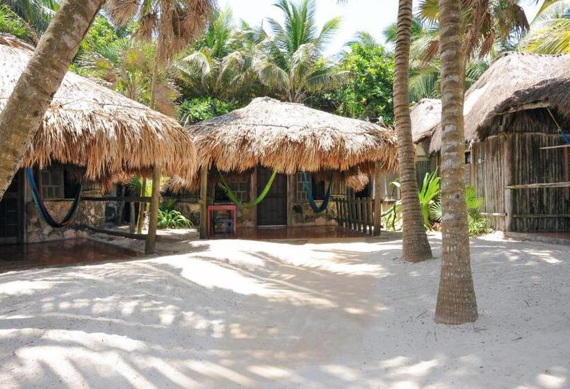 Номер Стандарт Боковой Вид на Море, Zamas