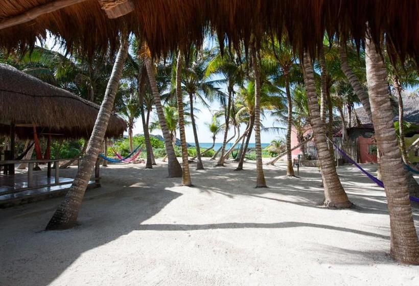 Номер Стандарт Боковой Вид на Море, Zamas