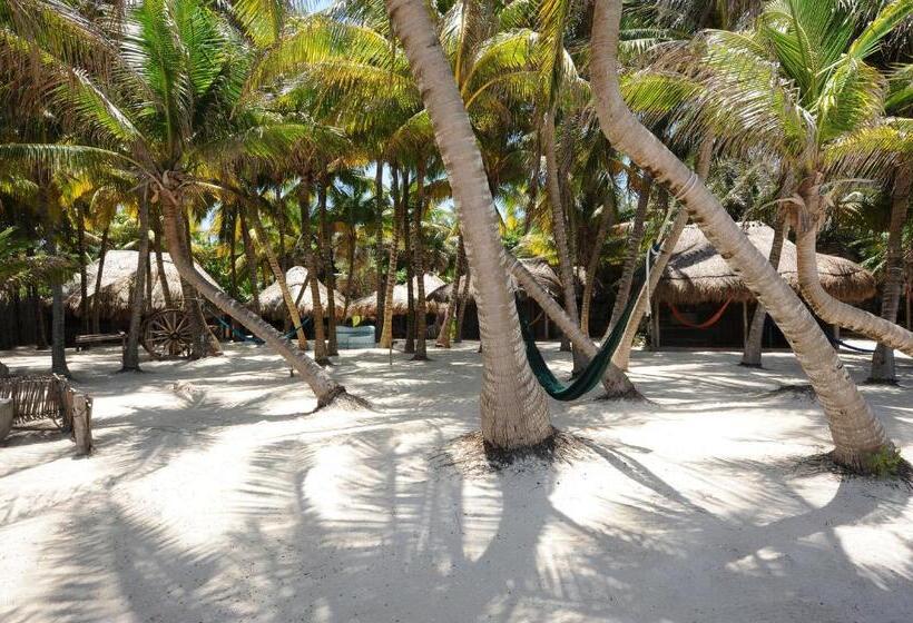 Номер Стандарт Боковой Вид на Море, Zamas