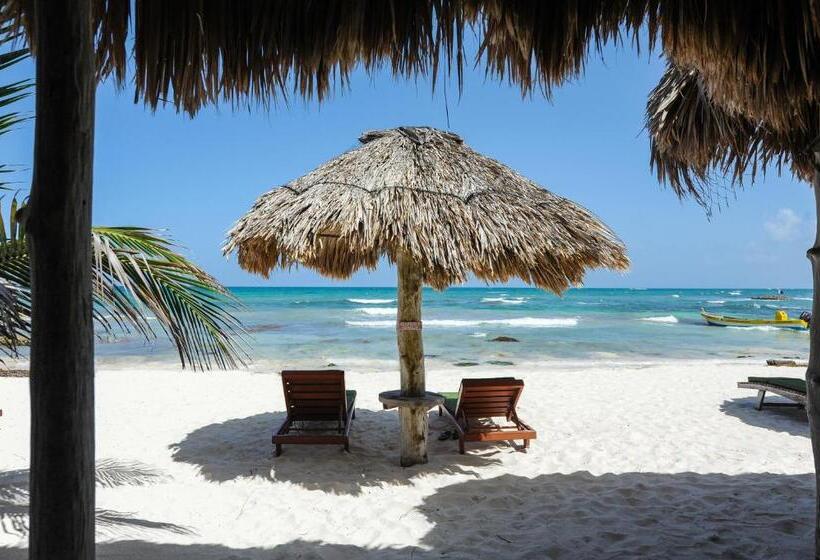 Классический Номер, Zamas