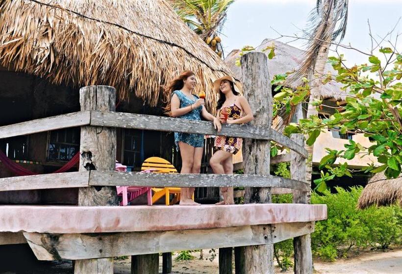 Классический Номер Вид на Море, Zamas