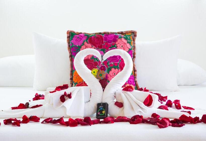 Бунгало Стандарт, Zamas