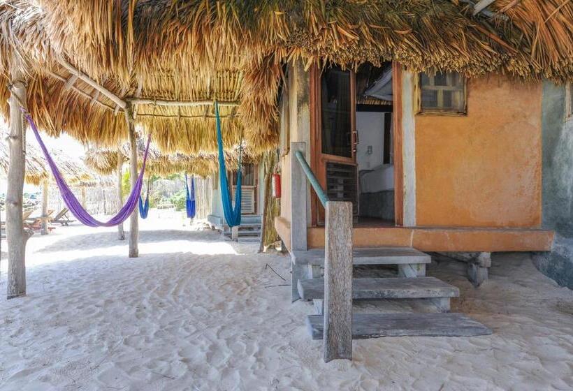 Бунгало Стандарт, Zamas