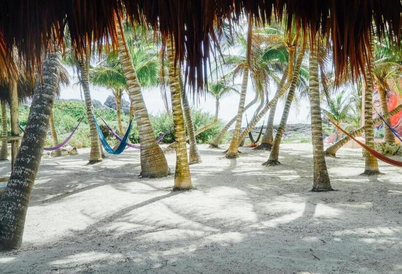 Семейный Номер Вид на Сад, Zamas