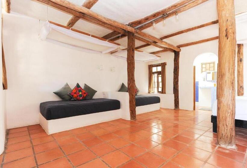 Номер Стандарт, Zamas