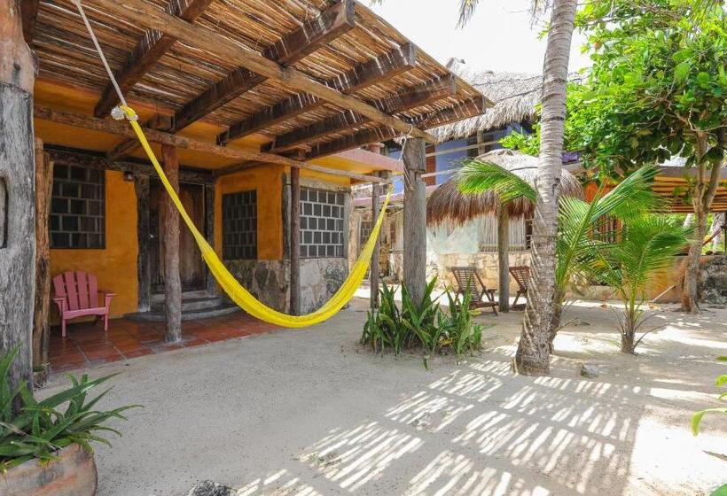 Номер Стандарт, Zamas