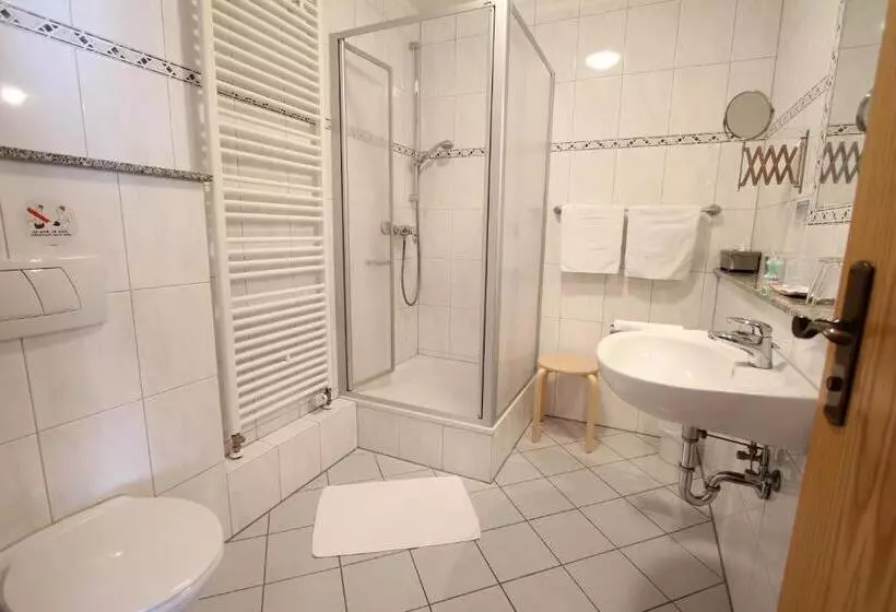 Standard Yhden Hengen Huone, Weinhotel / Gasthaus Zur Sonne