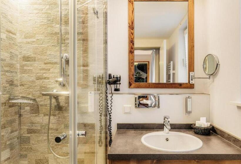 غرفة قياسية, Torfhaus Harzresort