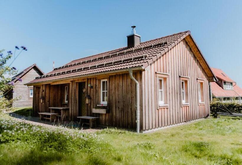 غرفة قياسية, Torfhaus Harzresort