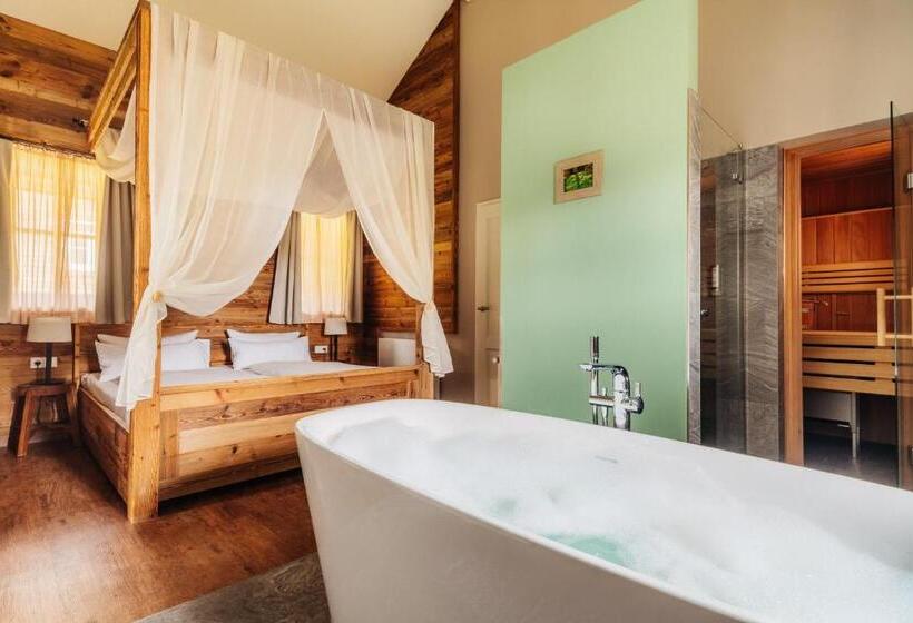 غرفة قياسية, Torfhaus Harzresort