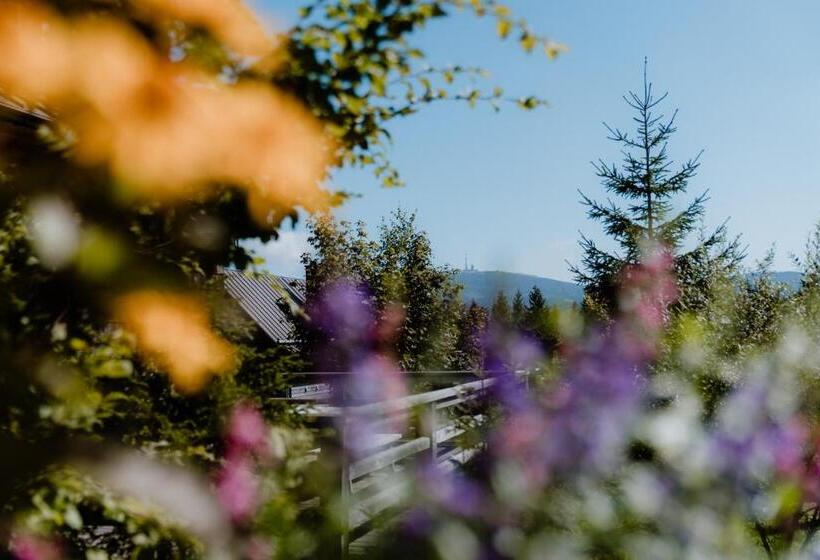 منزل 3 غرف نوم, Torfhaus Harzresort