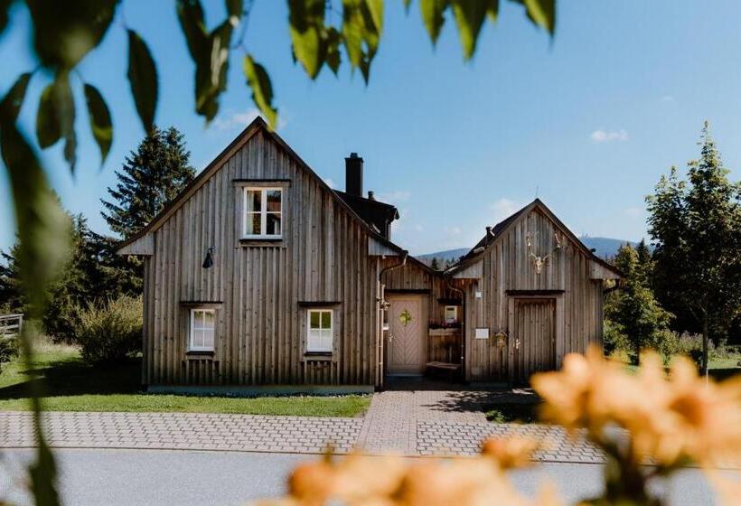 Дом 3 Спальни, Torfhaus Harzresort