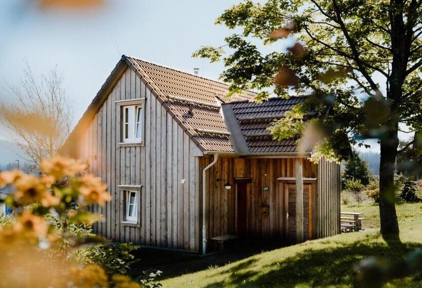 منزل غرفتين نوم, Torfhaus Harzresort