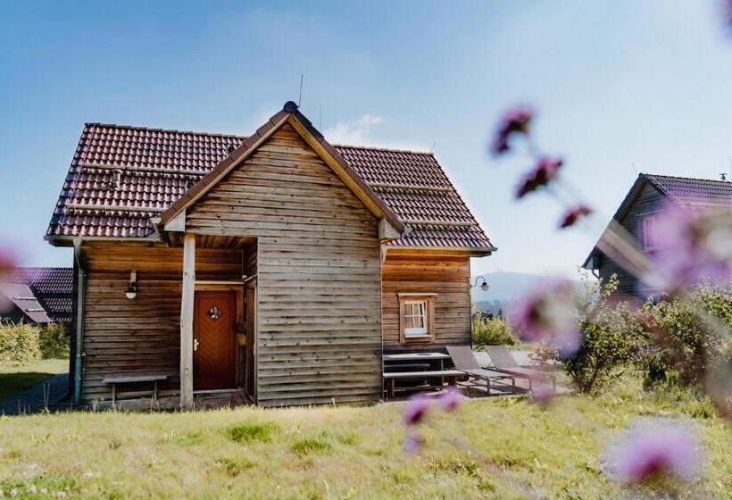 منزل غرفتين نوم, Torfhaus Harzresort