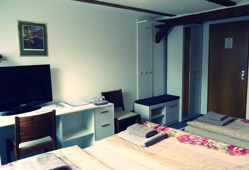 ベーシックトリプルルーム, Alb Hotel Schalksburg