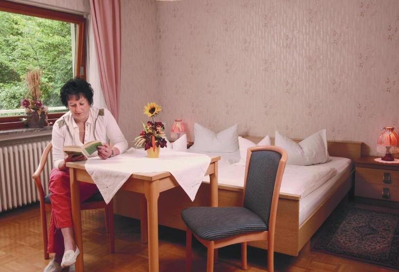 Номер Стандарт, Pension Burk