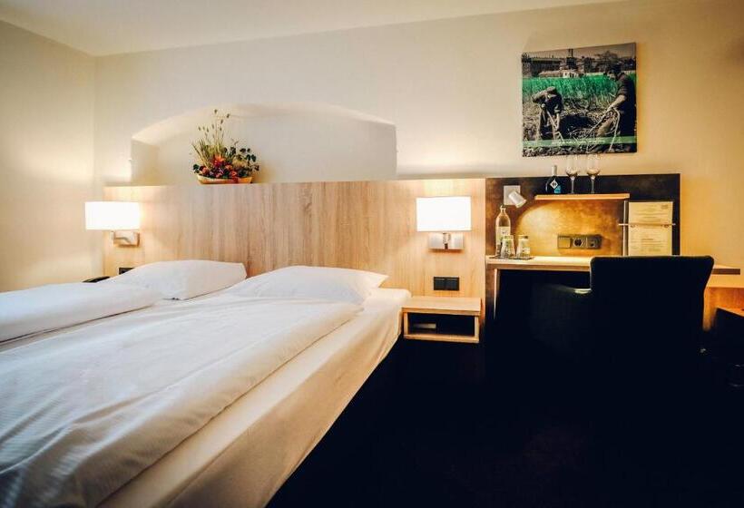 غرفة قياسية داخلية, Europa