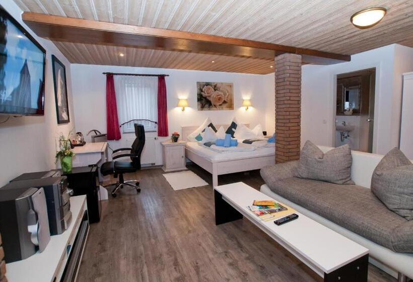 جناح جونيور, Landgasthaus Bonn