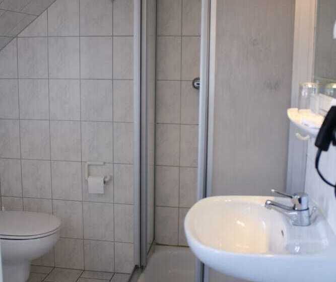 غرفة قياسية فردية, Landgasthaus Bonn