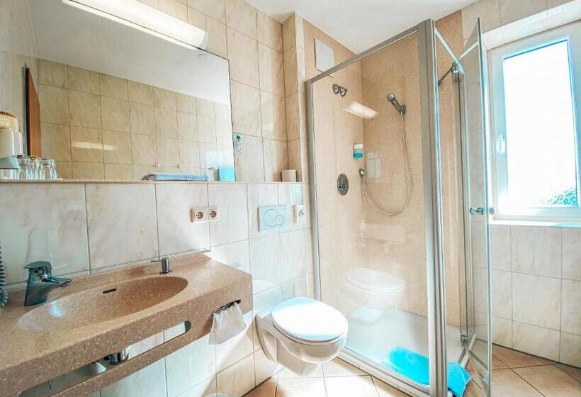 Номер Комфорт, Schwertfirm