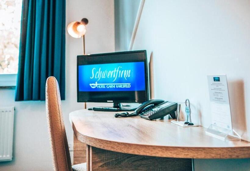 Номер Economy Индивидуальный, Schwertfirm