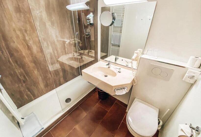 Номер Economy Индивидуальный, Schwertfirm