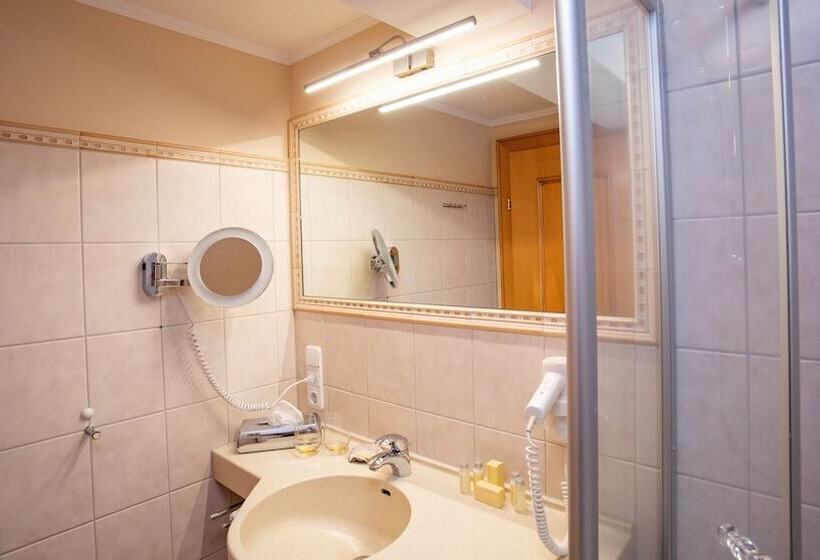 חדר סטנדרט יחיד, St. Florian