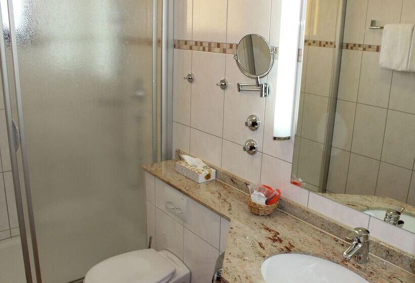 غرفة كلاسيكية, Stadthotel Augsburg