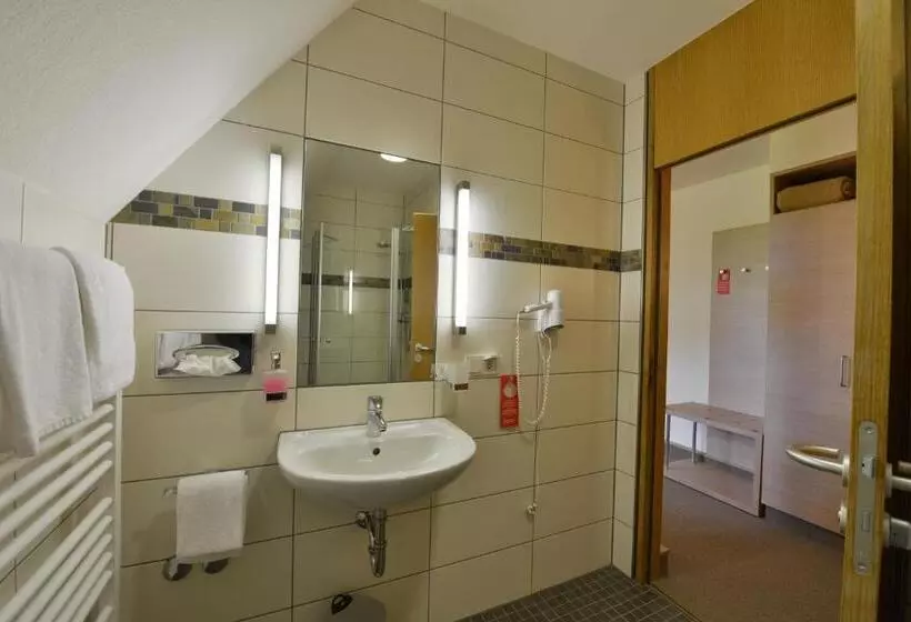 اتاق استاندارد, Tagungszentrum Schmerlenbach