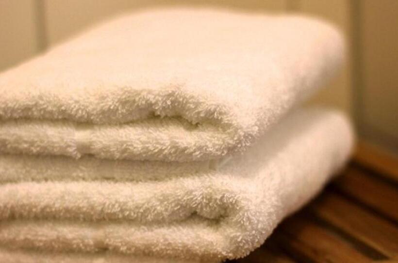 スタンダードシングルルーム, Zittauer Hof