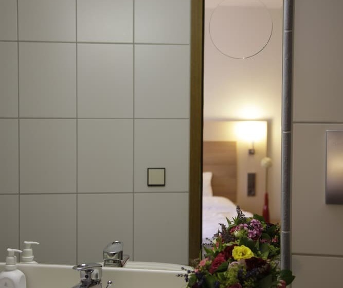 スタンダードルーム, Die Krone Am Fluss   Landhotel Sindringen