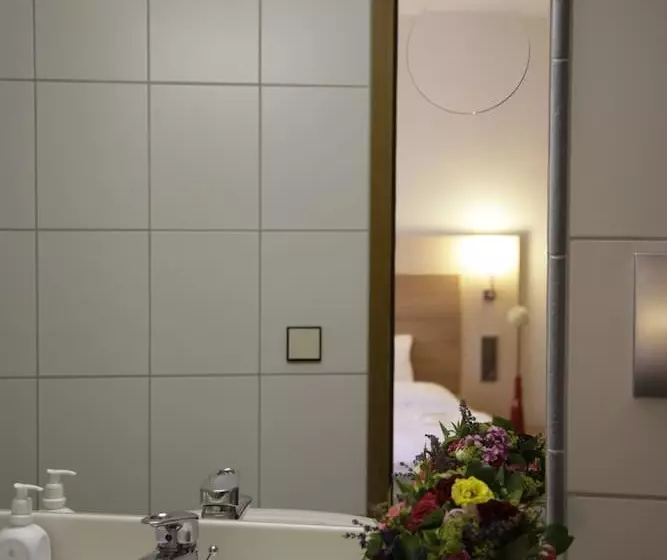 スタンダードルーム, Die Krone Am Fluss Landhotel Sindringen