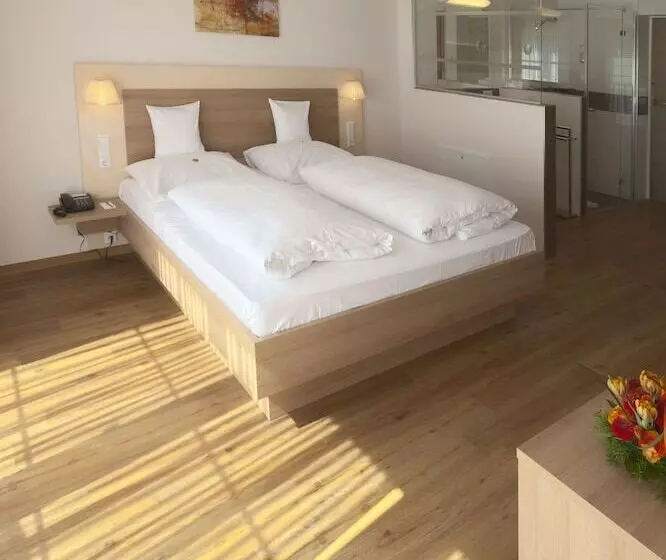 スタンダードルーム, Die Krone Am Fluss Landhotel Sindringen