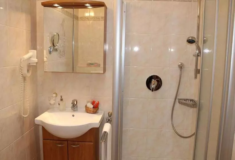 اتاق کلاسیک یک تخته, Stadthotel Augsburg