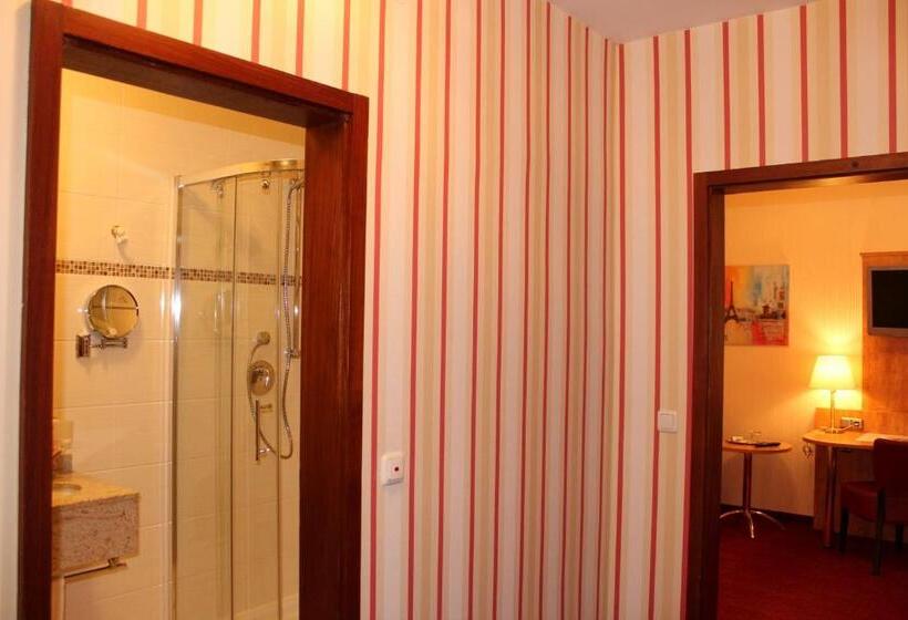 غرفة كلاسيكية فردية, Stadthotel Augsburg