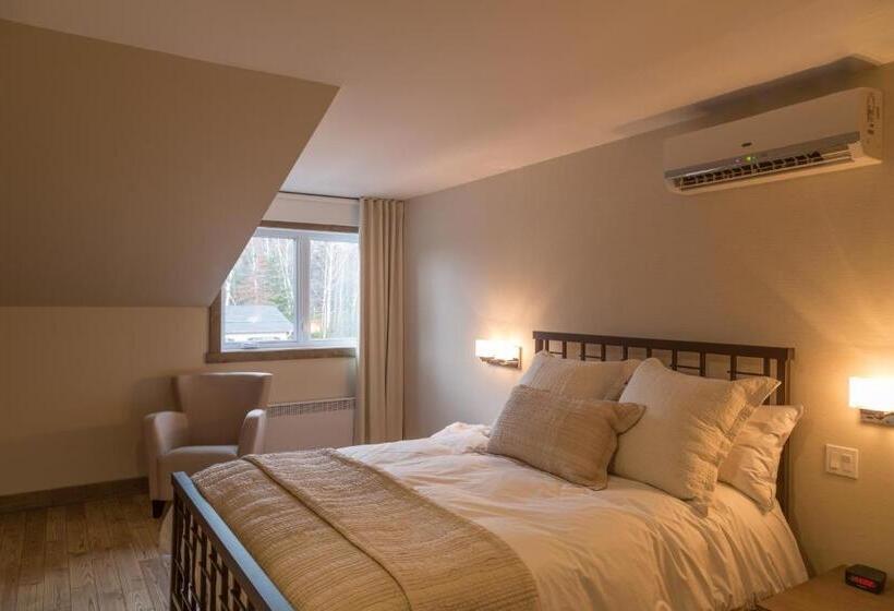 豪华工作室, Le Suisse