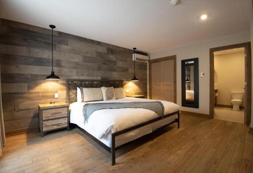 豪华工作室, Le Suisse