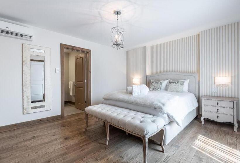 豪华工作室, Le Suisse