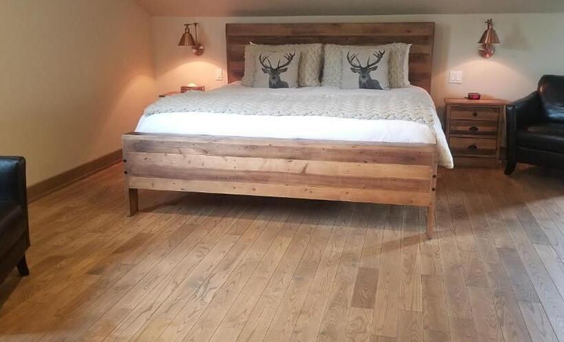 豪华工作室, Le Suisse