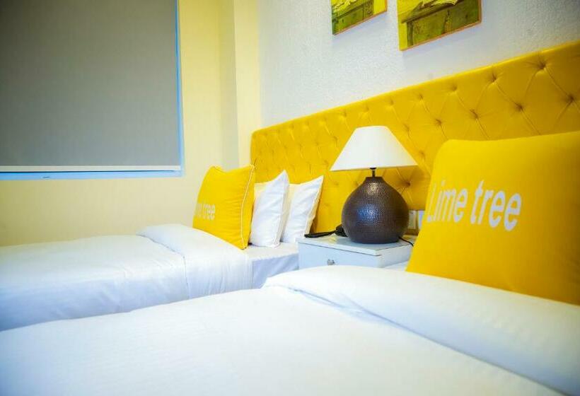 סטודיו סטנדרט עם מרפסת, Lime Tree Luxury Studio   Service Apartment Near Artemis Hospital ,gurgaon