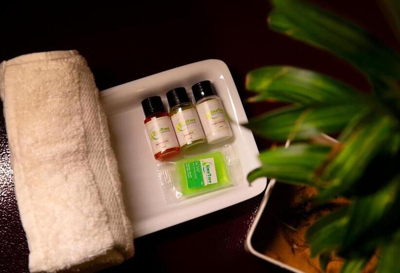 סטודיו סטנדרט עם מרפסת, Lime Tree Luxury Studio   Service Apartment Near Artemis Hospital ,gurgaon