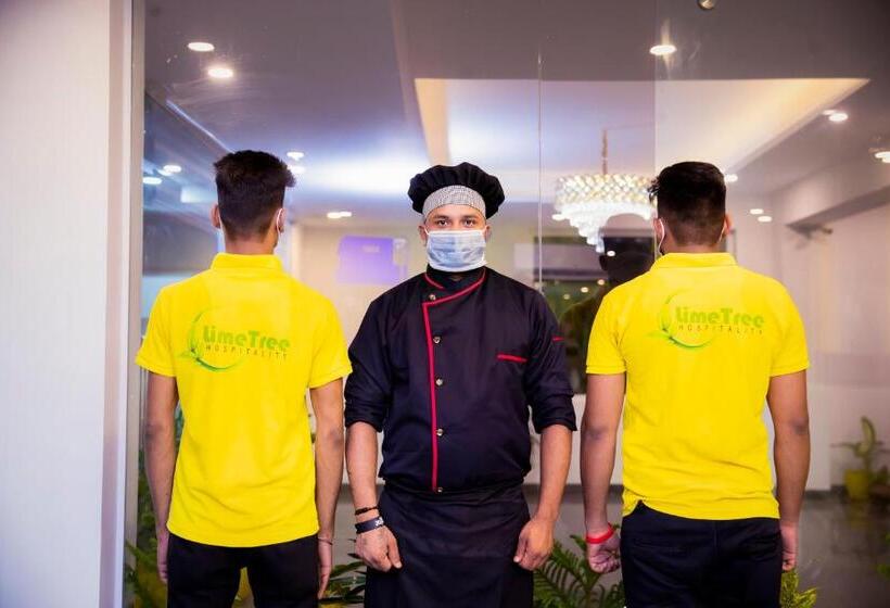 סטודיו סטנדרט עם מרפסת, Lime Tree Luxury Studio   Service Apartment Near Artemis Hospital ,gurgaon