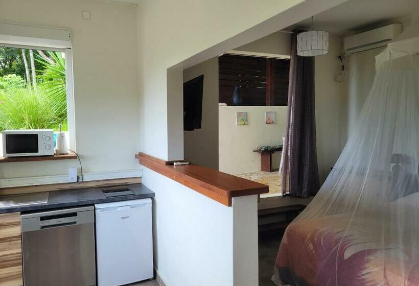 استودیو استاندارد با تراس, Villa Dream