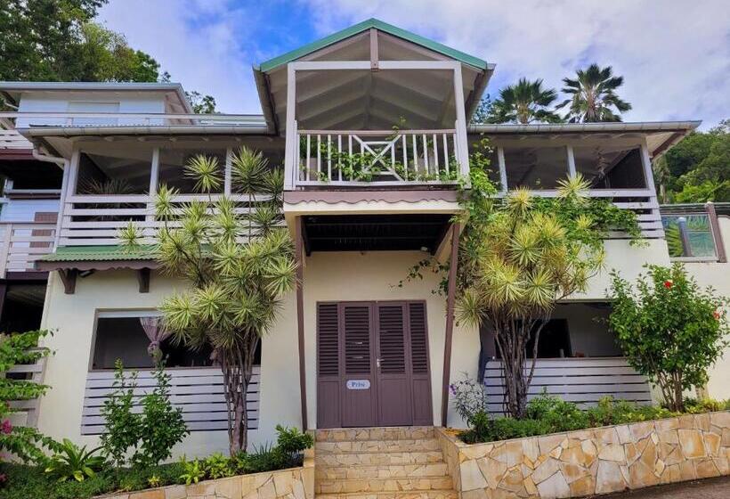 سوئیت با وان آب گرم, Villa Dream