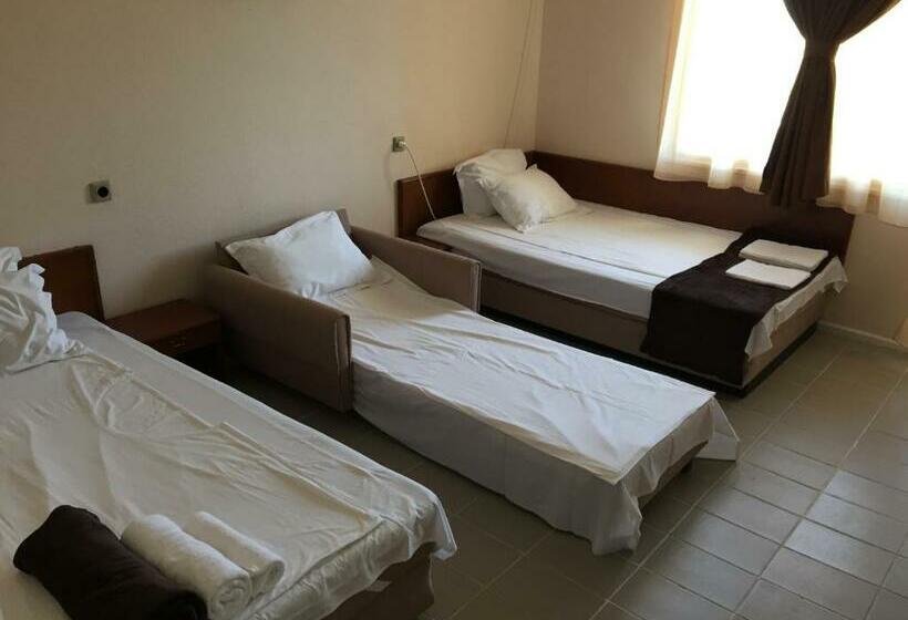 标准三人间, Guest House ,,emotion